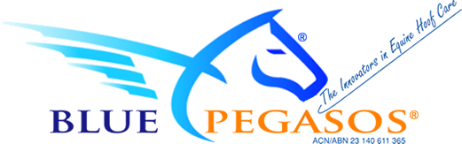 Blue Pegasos Horse Shoes - USA